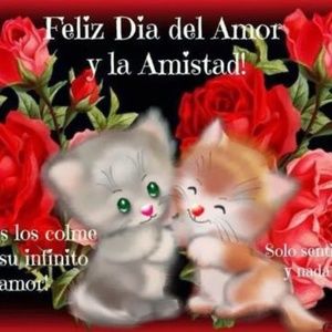 Meet your Posher, Mari